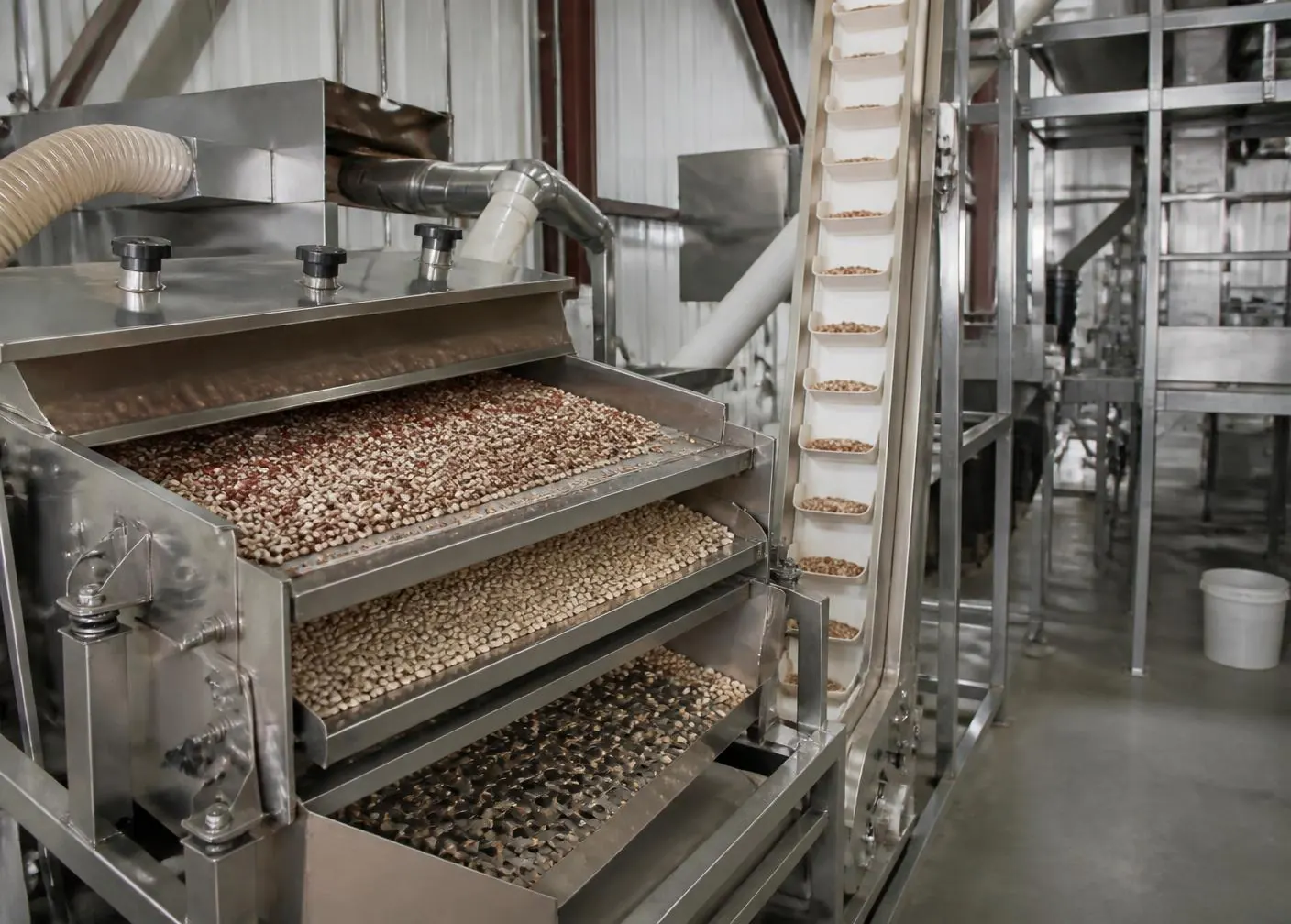 Commercial dry-bean cleaning and separation equipment with screen decks and a bucket elevator inside a processing facility