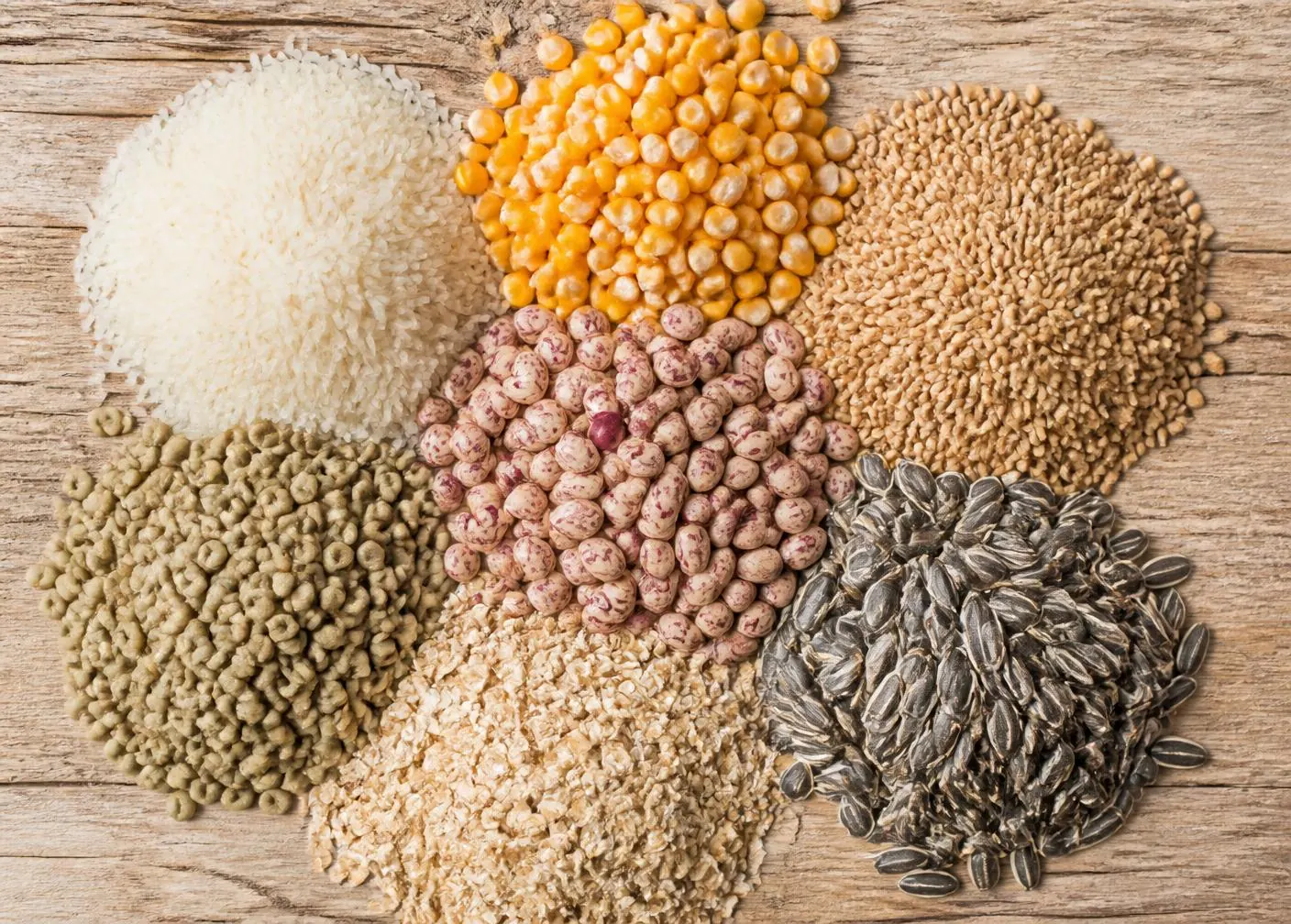 Samples of milled rice, corn, wheat, edible beans, oats, and sunflower seeds on a wooden surface