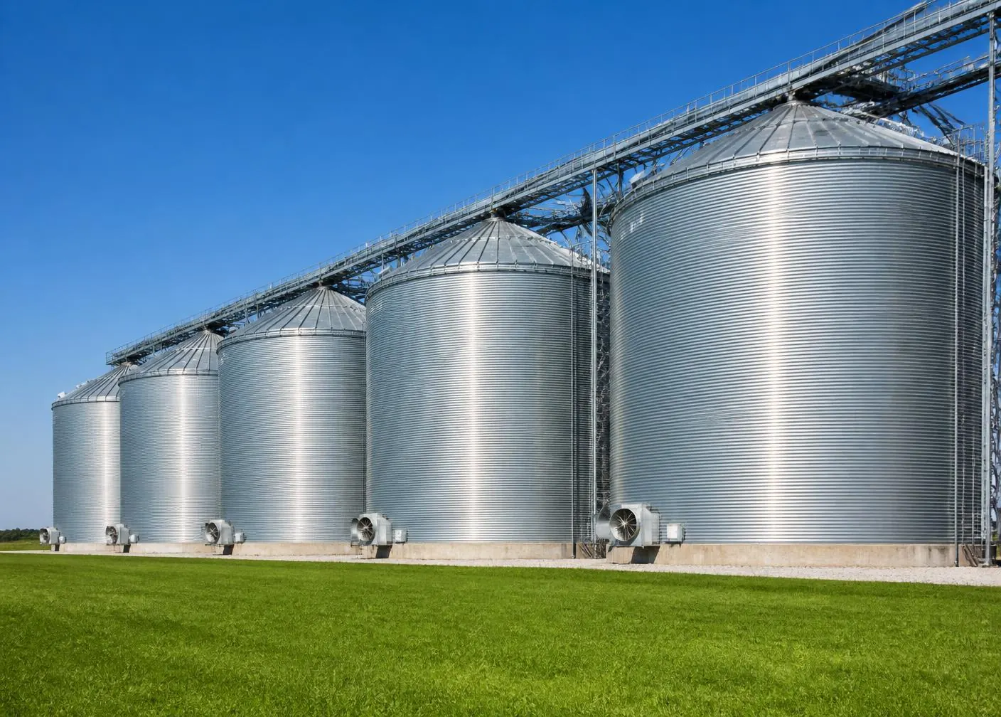 Grain storage silos connected to conveying and reclaim equipment beside a green field