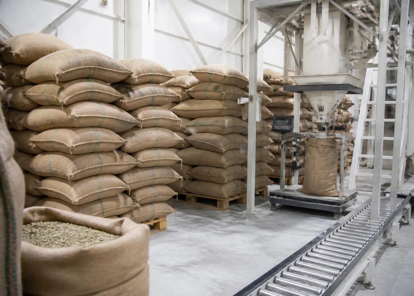 Stacked jute bags of green coffee beside a bagging scale station in a coffee dry mill warehouse