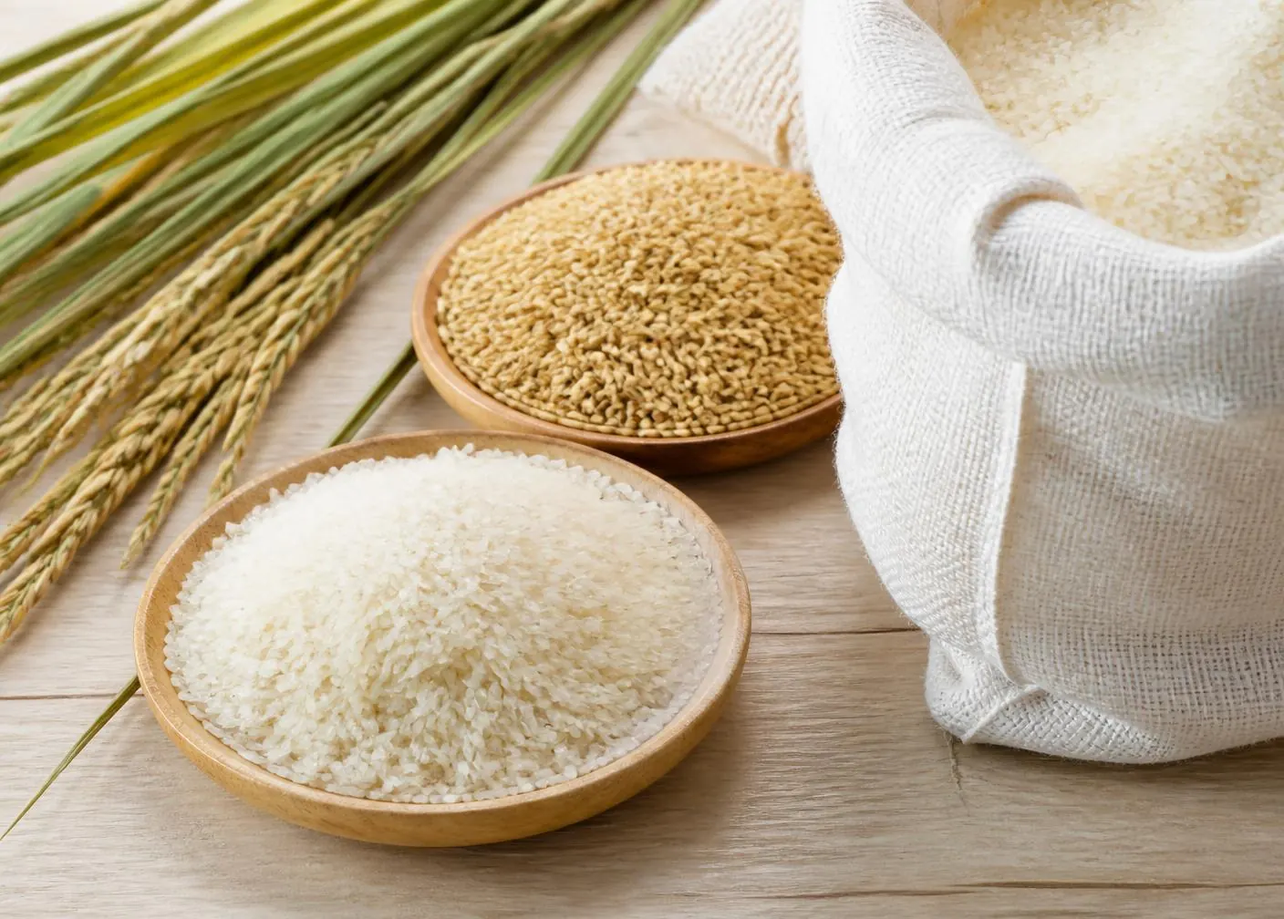 Bowls of milled white rice and unhusked paddy rice beside a bag of finished rice